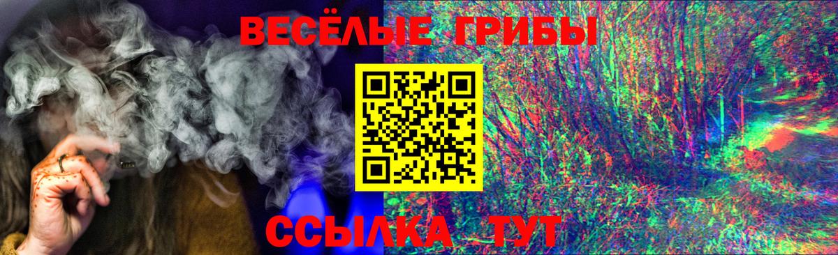 Псилоцибиновые грибы MAGIC MUSHROOMS  Галлюциногенные грибы прущие грибы  Ухта  Вход с VPN 